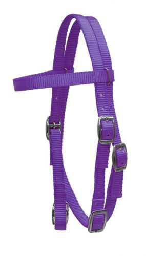 SHOWMAN PONY NYLON BROWBAND HEADSTALL