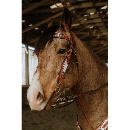 SCHULZ EQUINE DOC HOLIDAY BROWBAND HEADSTALL