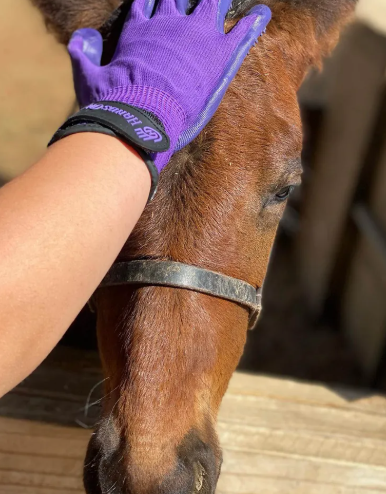 HANDS ON SHEDDING, BATHING, GROOMING GLOVES