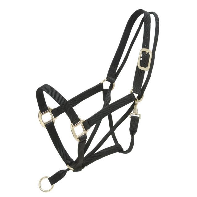 TOUGH 1 PULL-BACK HALTER