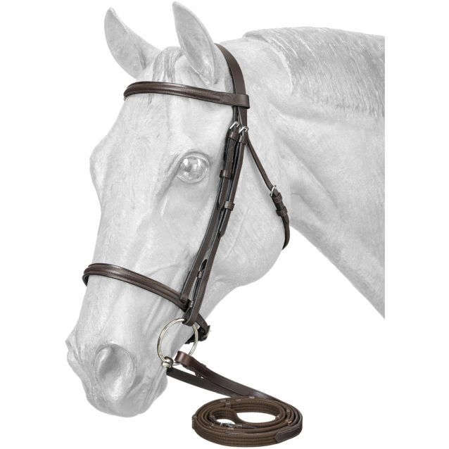 TOUGH 1 RAISED SNAFFLE BRIDLE WITH WEB REINS