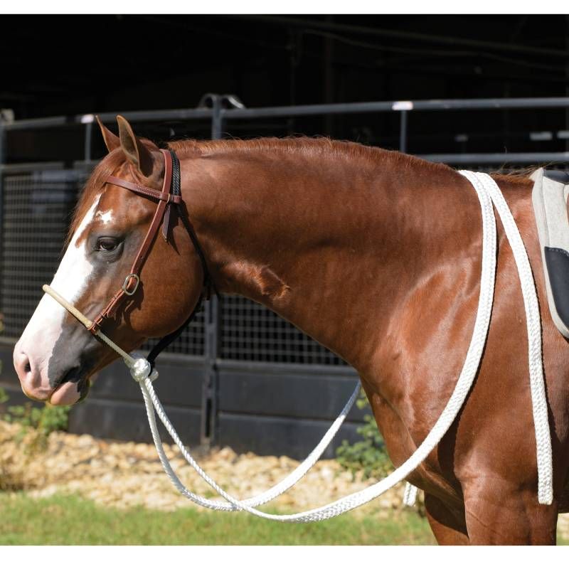 RANCH HEAVY OILED 5/8&quot; LOPING HACKAMORE WITH MULE TAPE REINS