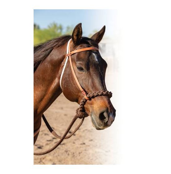 PROFESSIONAL&#39;S CHOICE LOPING HACKAMORE