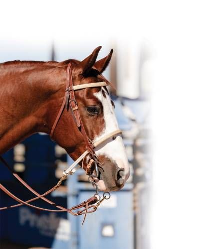 PROFESSIONAL'S CHOICE BRAIDED RAWHIDE DOUBLE ROPE NOSEBAND
