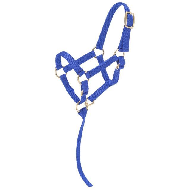 TOUGH1 MINIATURE NYLON HALTER