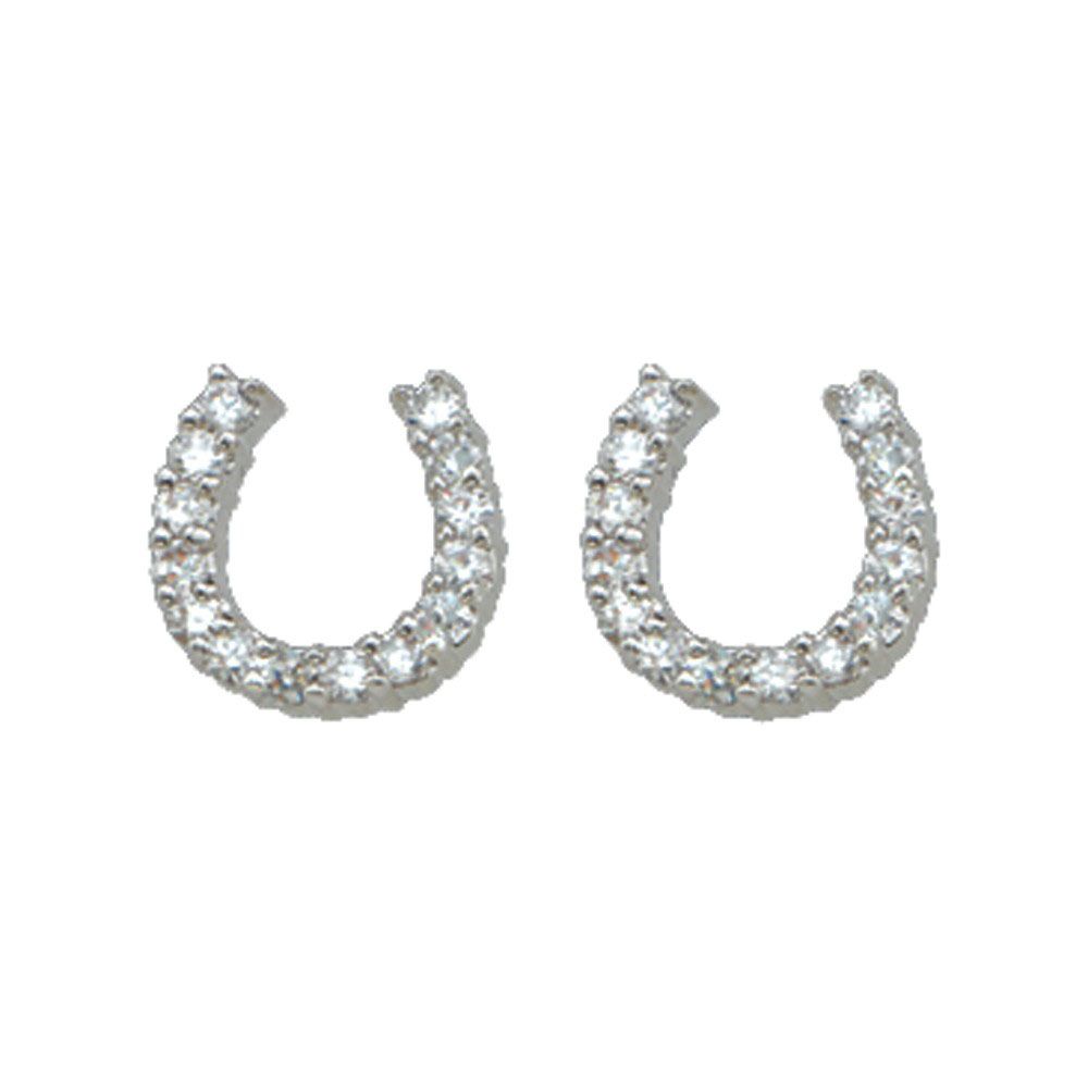 MONTANA SILVERSMITHS TINY RIDER POST EARRINGS