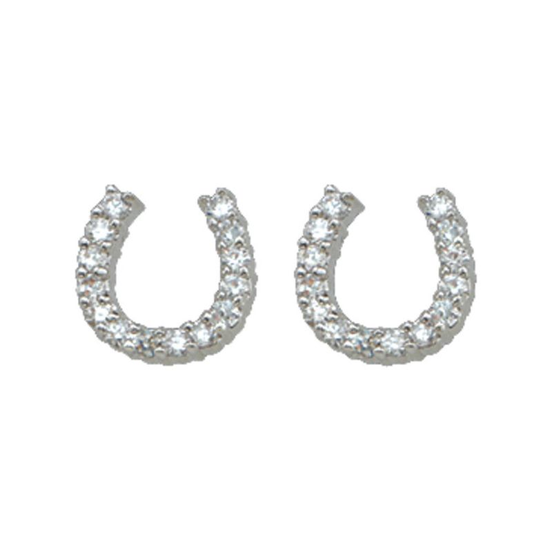 MONTANA SILVERSMITHS TINY RIDER POST EARRINGS
