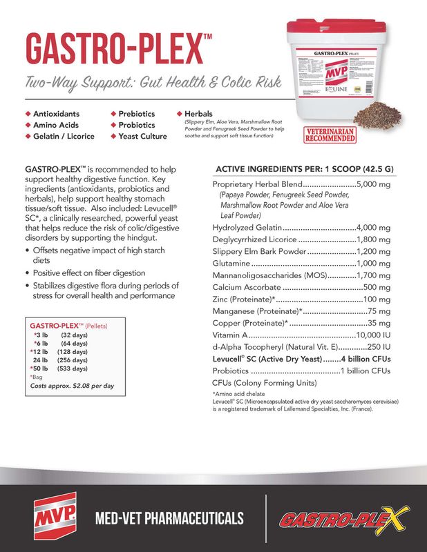 GASTRO PLEX PELLETS