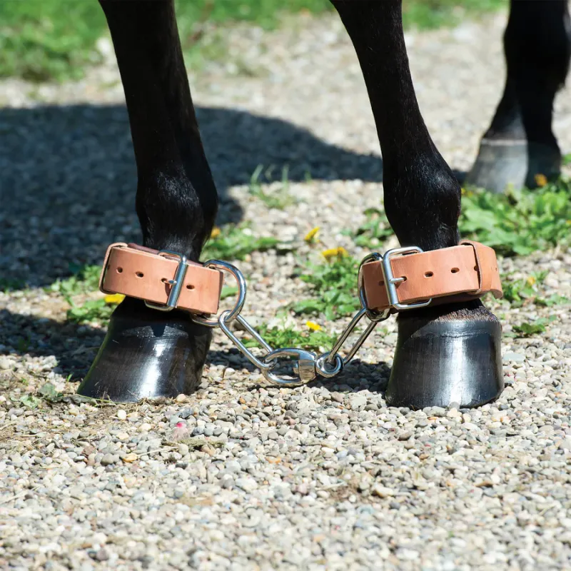 WEAVER HEAVY-DUTY HOBBLE, LEATHER