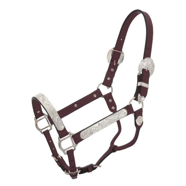 TOUGH 1 ROYAL KING SILVER SHOW HALTER