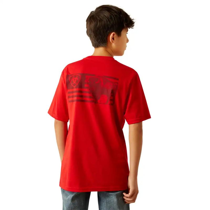 ARIAT ETCHED BUFFALO LOF FLAG TEE