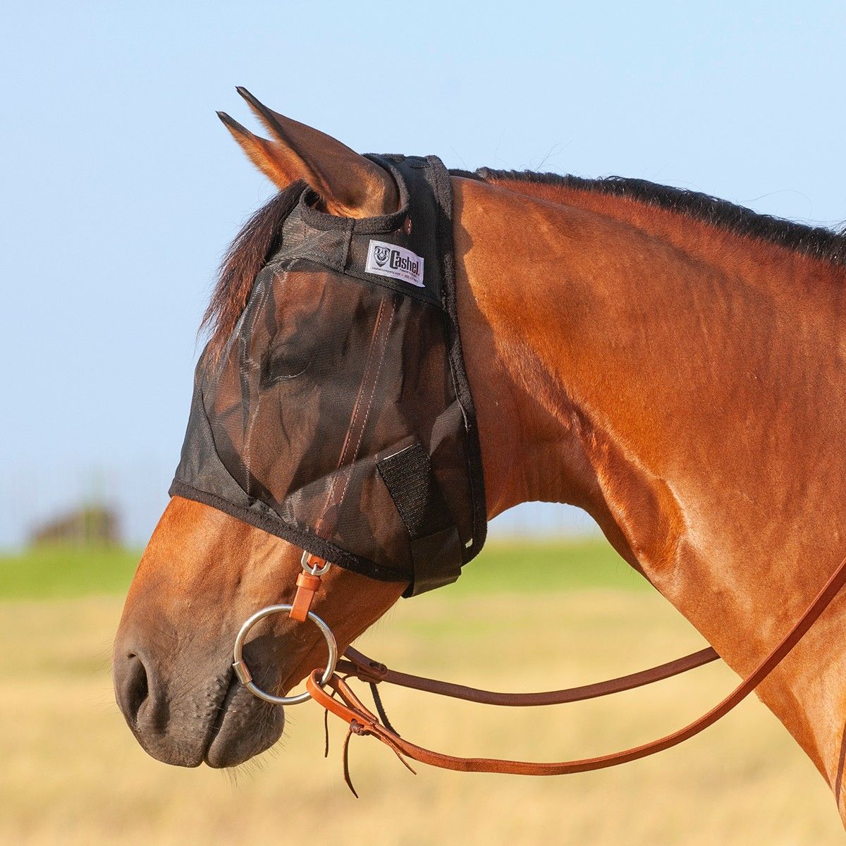 CASHEL QUIET RIDE FLY MASK, STANDARD NO EARS, Size: HORSE, Color: BLACK