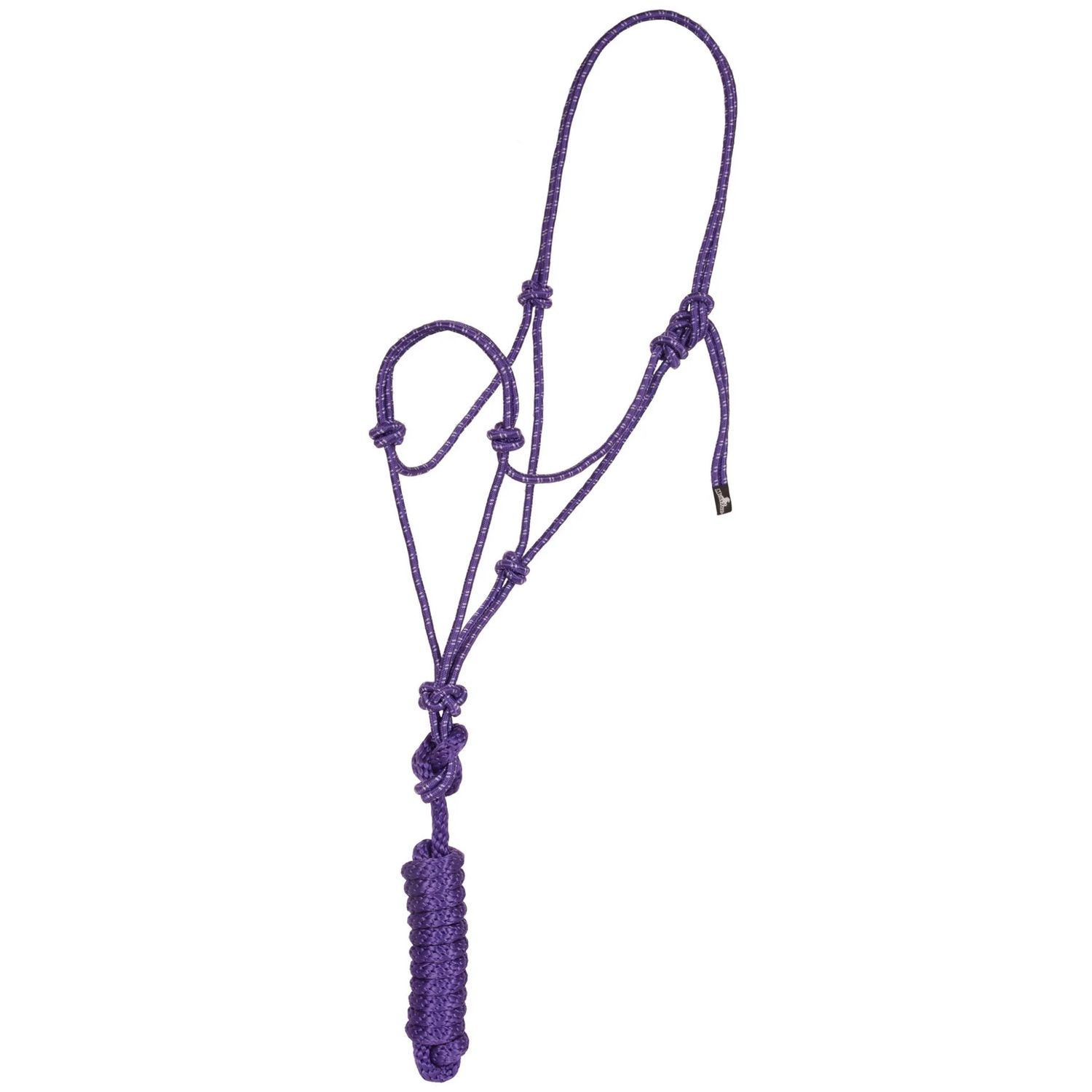 ECONOMY ROPE HALTHER WITH LEAD