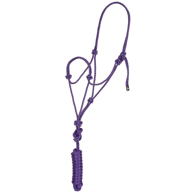 ECONOMY ROPE HALTHER WITH LEAD