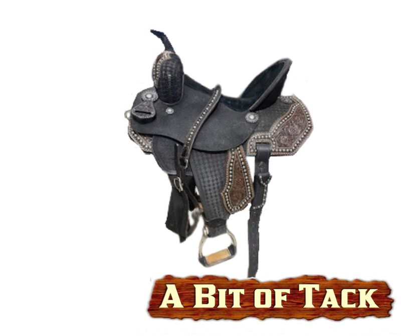 15&quot; Used Masters Saddle
