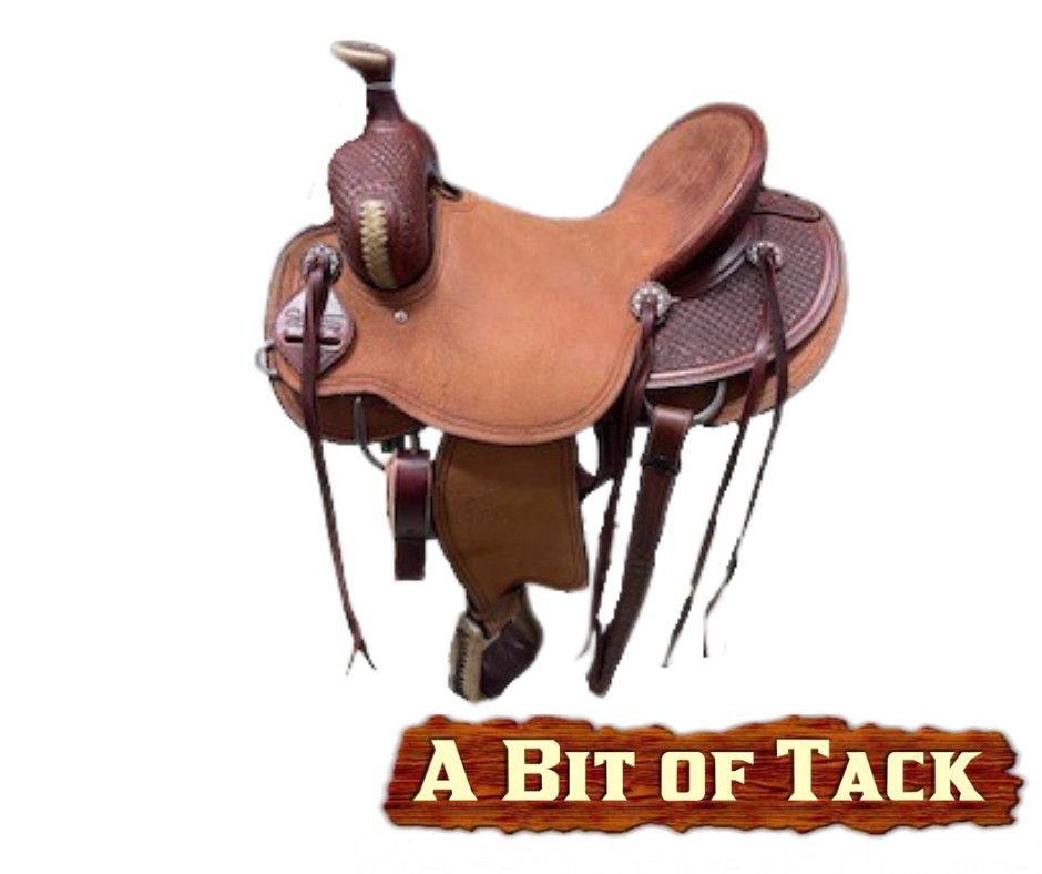 16&quot; Scott Thomas Full Quarter Horse Rancher