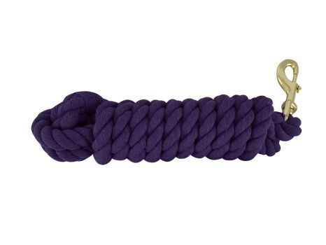 SHOWMAN 10&#39; BRAIDED COTTON LEAD WITH BRASS SNAP