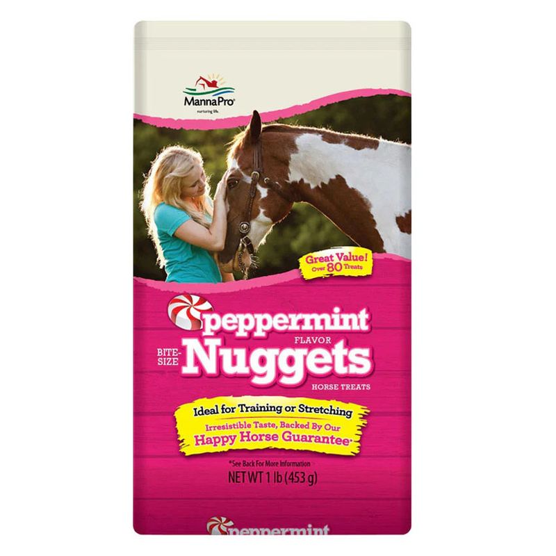 BITE-SIZE NUGGETS