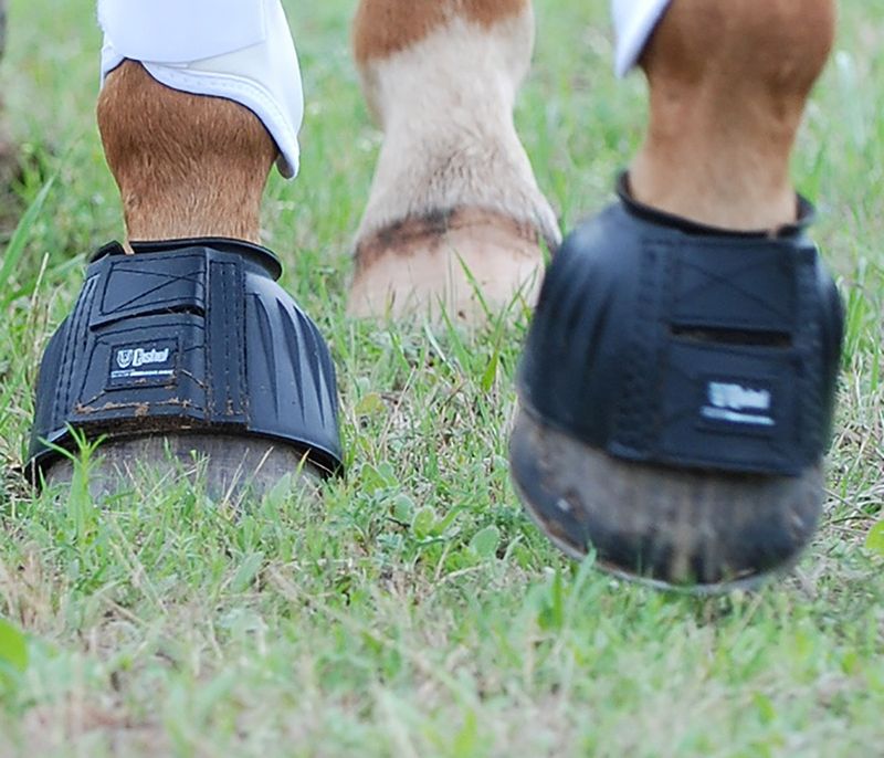 CASHEL RUBBER BELL BOOTS