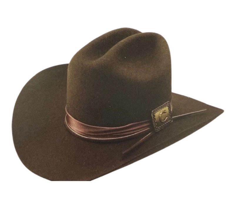 CHARLIE 1 HORSE LAINEY WILSON SONGBIRD FELT HAT