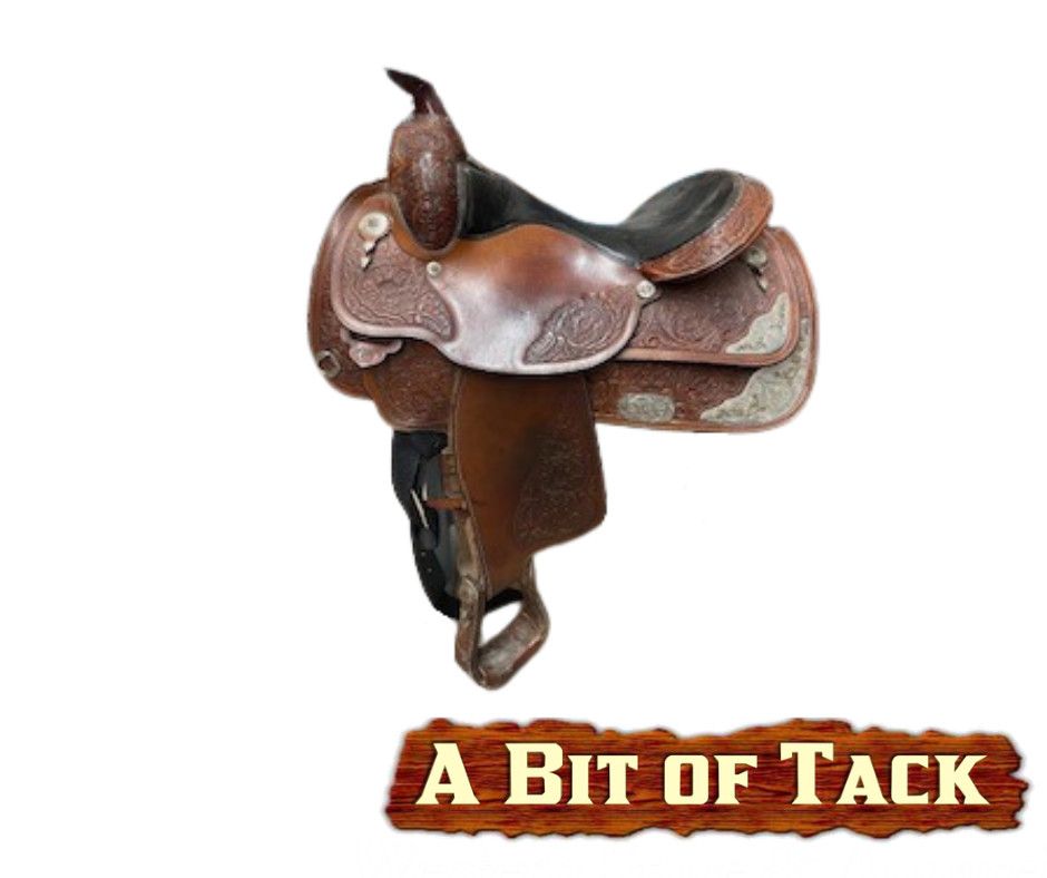 16&quot; Used Circle Y Equitation Show Saddle