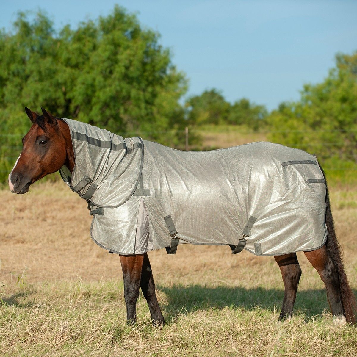 CASHEL ECONO FLY SHEET WITH NECK GUARD