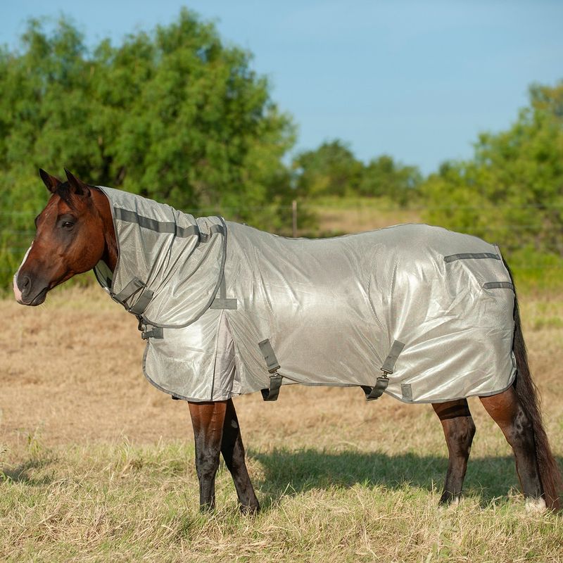CASHEL ECONO FLY SHEET WITH NECK GUARD
