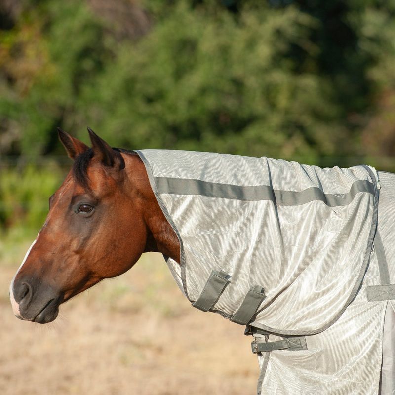 CASHEL ECONO FLY SHEET WITH NECK GUARD
