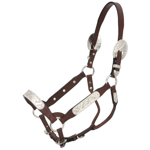 ROYAL KING BERRY EDGE CONGRESS SHOW HALTER - FULL