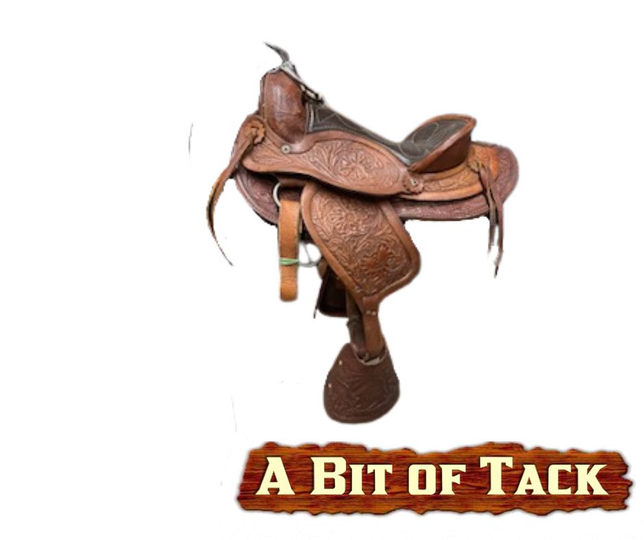 12&quot; Used Pony Saddle