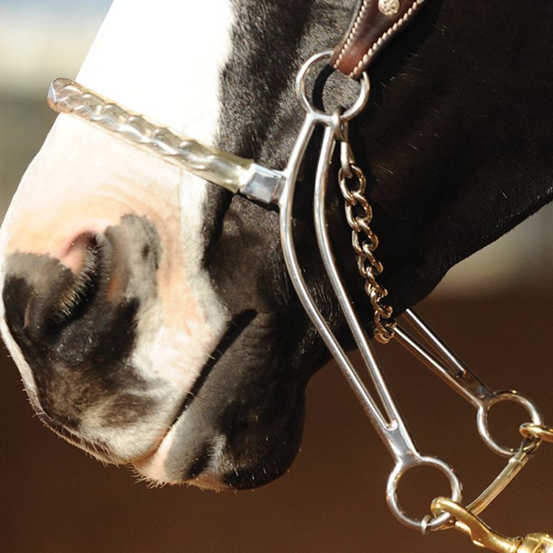 CAROL GOOSTREE HACKAMORE WITH COVERED CHAIN NOSEPIECE