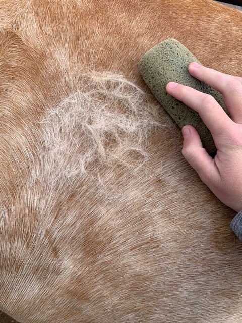 GS GROOMER'S STONE