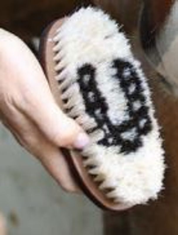 TAIL TAMER BOAR BRISTLE BRUSH