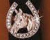 HORSE HEAD AND HORSE SHOE SCARF SLIDE
