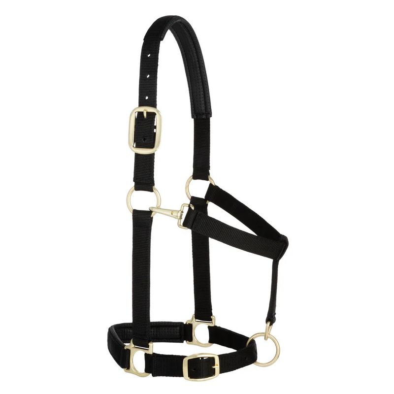WEAVER PADDED ADJUSTABLE CHIN AND THROAT SNAP HALTER