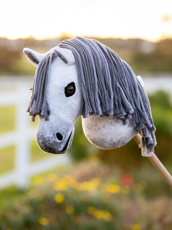 LEMIEUX HOBBY HORSE