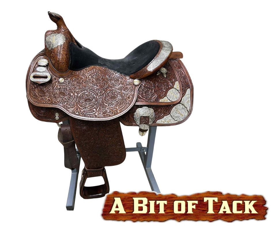 15.5&quot; Used Circle Y Show Saddle