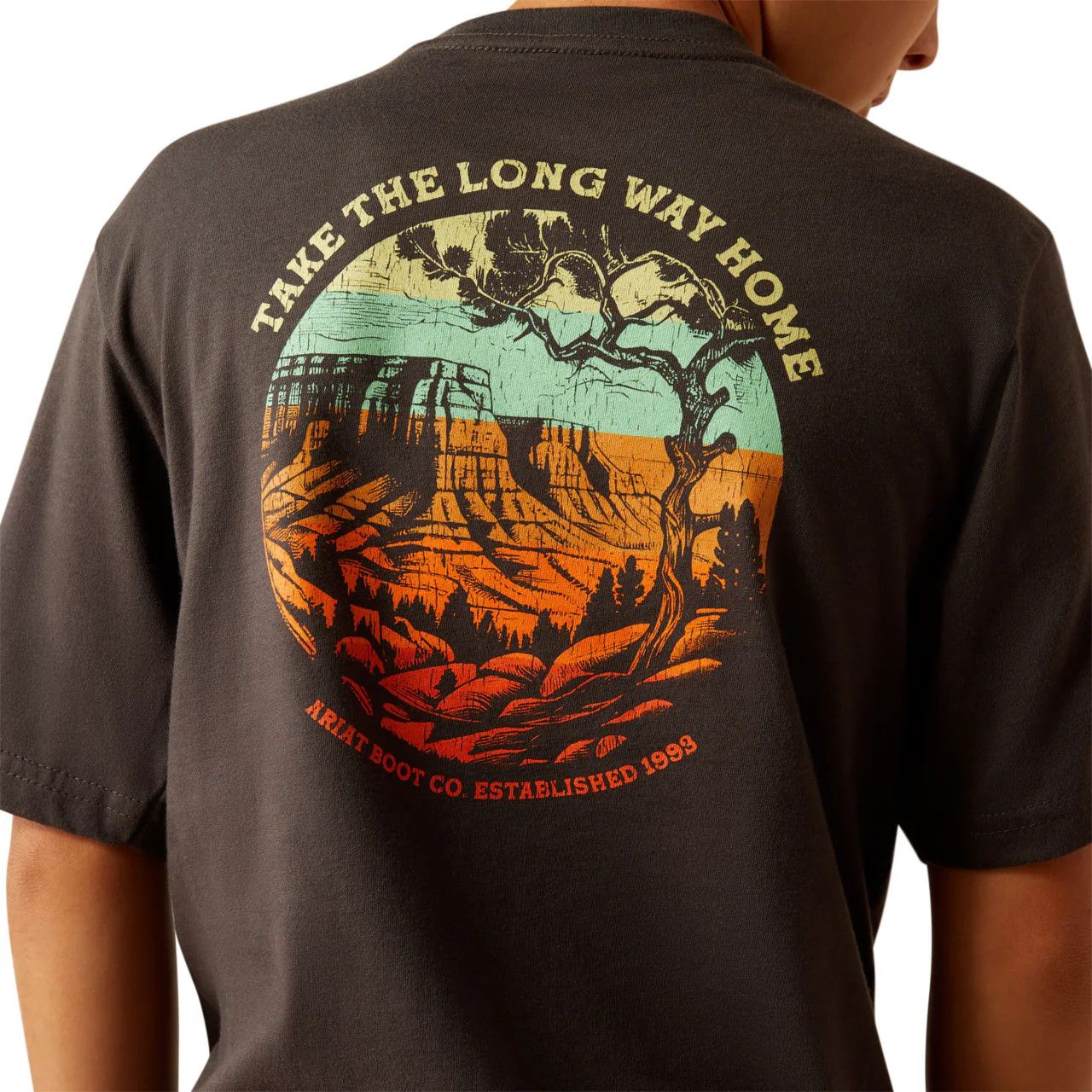 ARIAT TAKE THE LONG WAY TEE