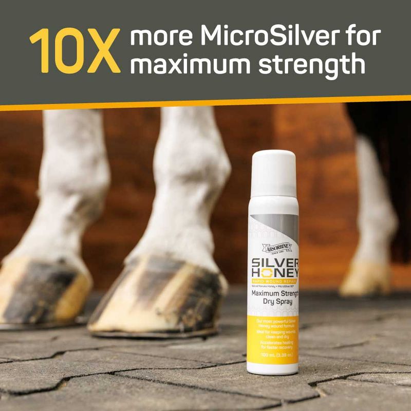 SILVER HONEY RAPID WOUND REPAIR MAXIMUM STRENGTH DRY SPRAY, 3.38 OZ.