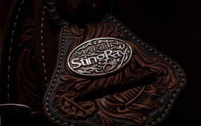 StingRay
