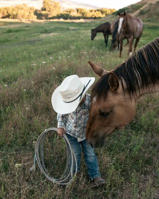 Western Shirts