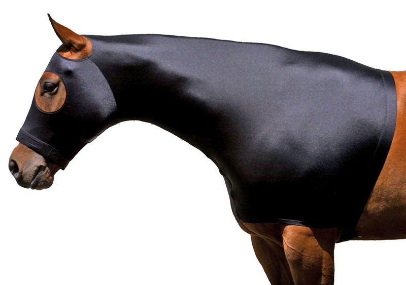 SLEAZY SOLID HOOD WITH ZIP