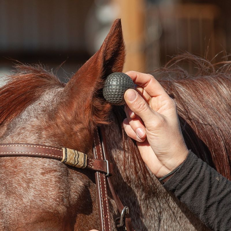 CLASSIC EQUINE EAR PLUGS