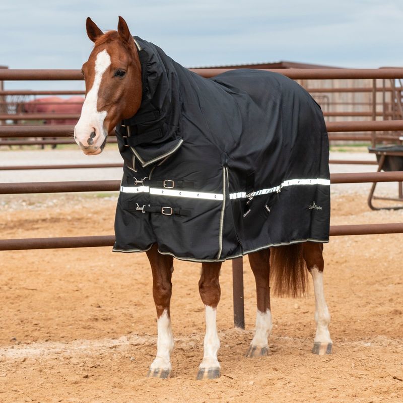 CLASSIC EQUINE 5K CROSS TRAINER WINTER BLANKET, HOODED