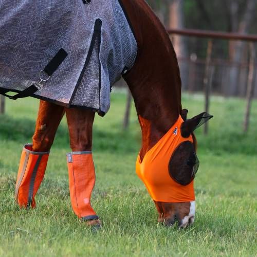 PROFESSIONAL CHOICE DELUXE FLY BOOTS