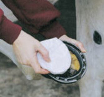HOOF POULTICE, PRE-CUT HOOF SHAPE, 3 COUNT