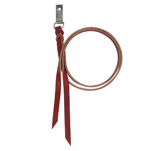 CASHEL SADDLE CLIP AND DEE STRING SET