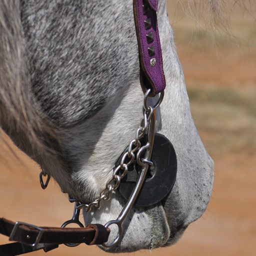 CASHEL BIT CHEEK GUARD