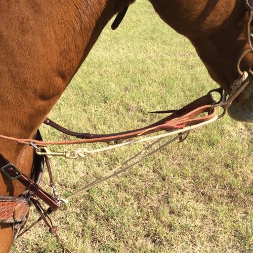PHIL HAUGEN MARTINGALE, SPLIT REIN
