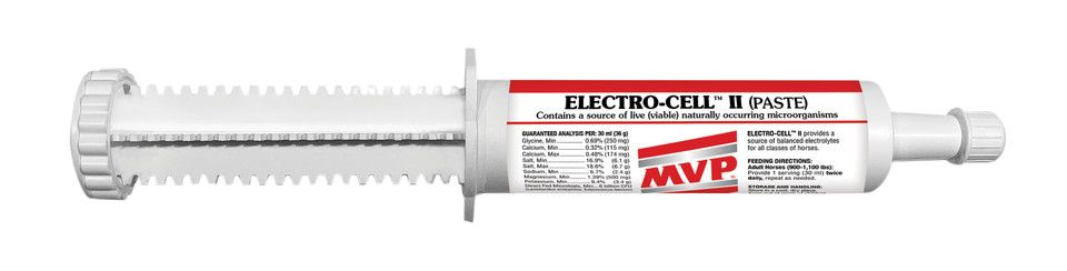 ELECTRO-CELL II PASTE 60 ML. (2 DOSES)